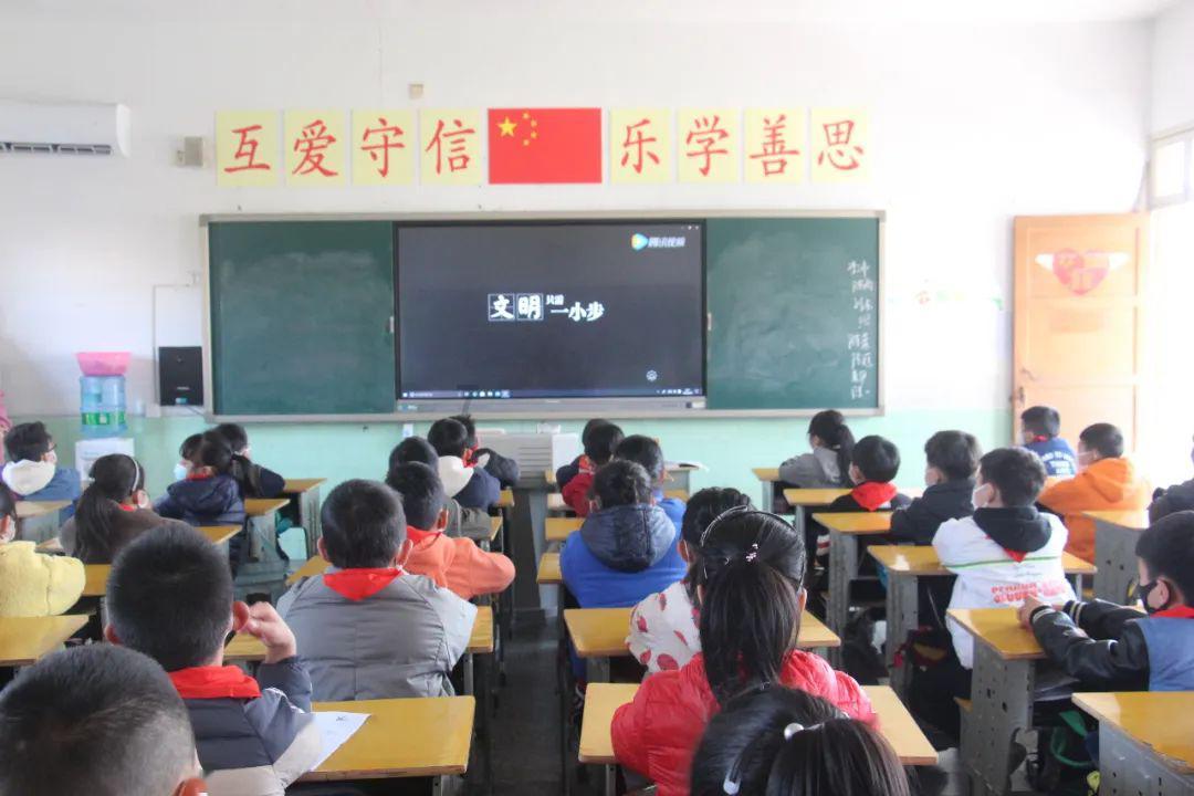 多肉上的白虫子有毒吗?--有问必答平台