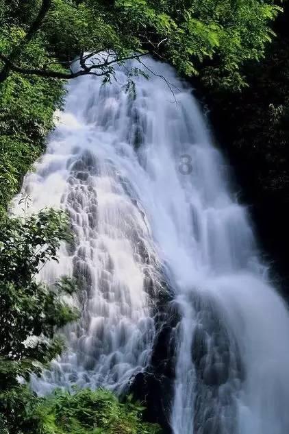 速度与激情!福建这场汽车场地越野挑战赛圆满落幕
