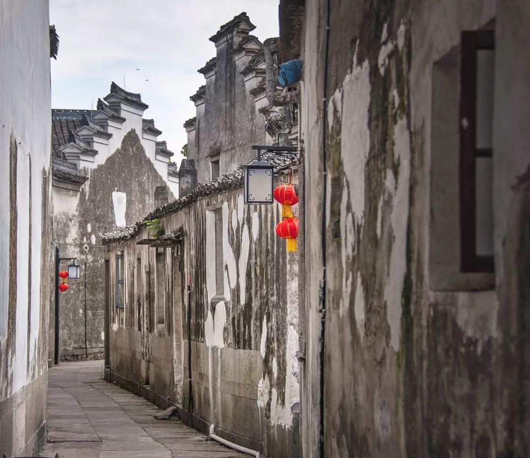 “办实事、暖企心、重服务、促发展” 长春净月高新区惠企政策落地见效 营商环境持续优化